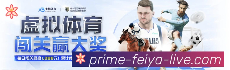 飞亚体育荣誉