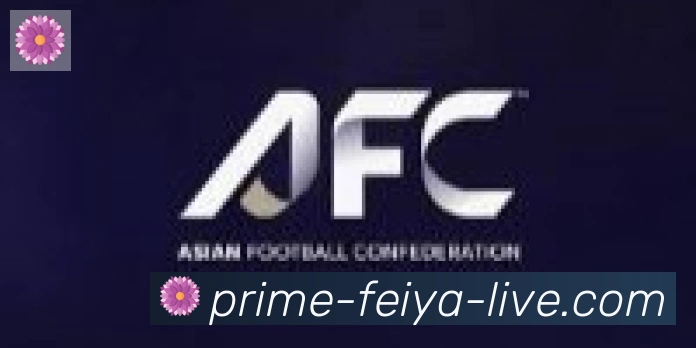 飞亚体育合作伙伴
